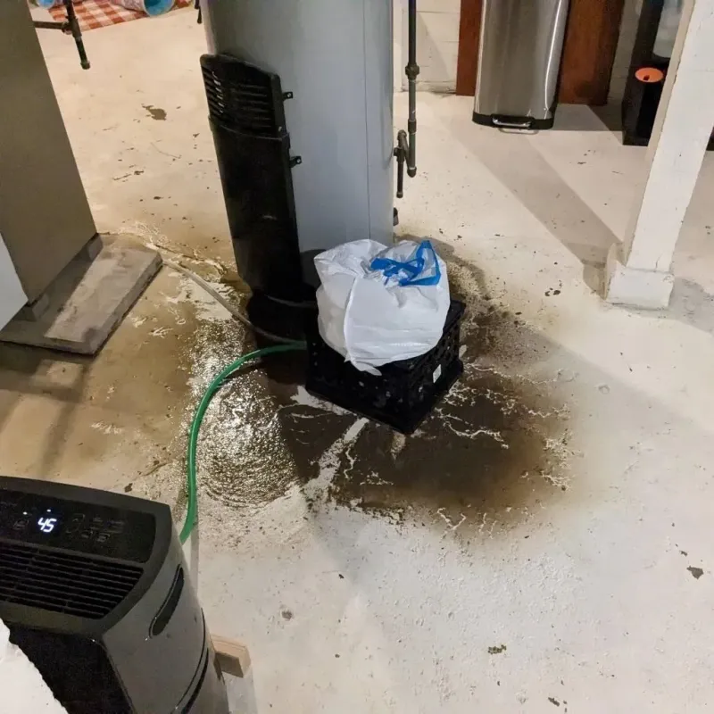 Sewage Backup Cleanup Service in Gibbsboro, NJ